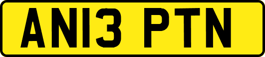 AN13PTN