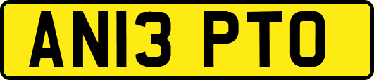 AN13PTO