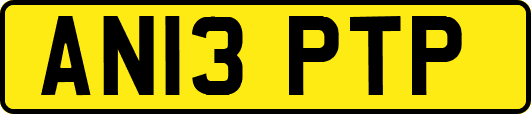 AN13PTP