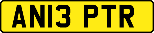 AN13PTR