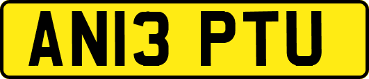 AN13PTU
