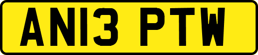 AN13PTW