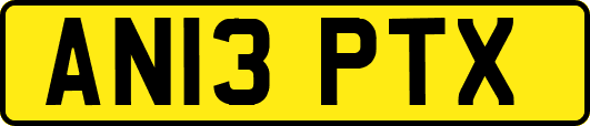 AN13PTX