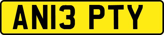 AN13PTY