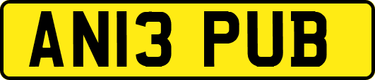 AN13PUB