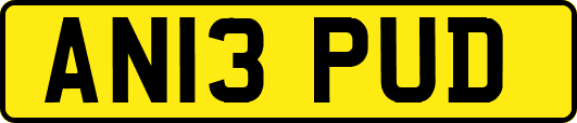 AN13PUD