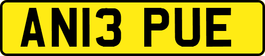 AN13PUE