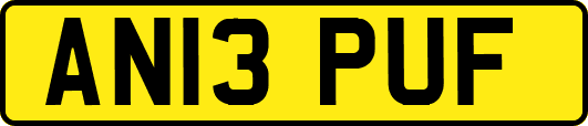 AN13PUF