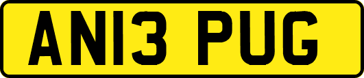 AN13PUG