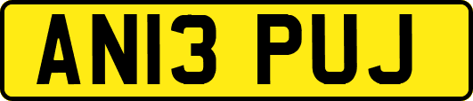AN13PUJ