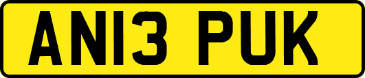 AN13PUK
