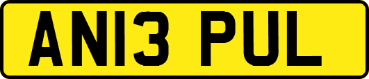 AN13PUL