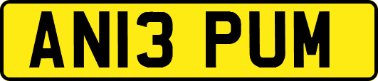 AN13PUM