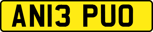 AN13PUO