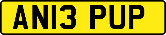 AN13PUP