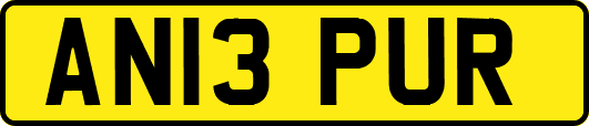 AN13PUR