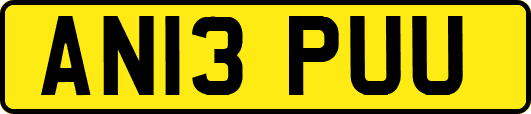 AN13PUU