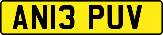 AN13PUV