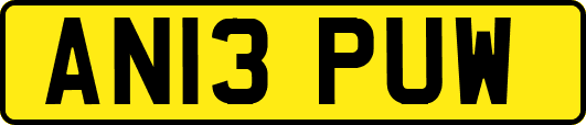 AN13PUW