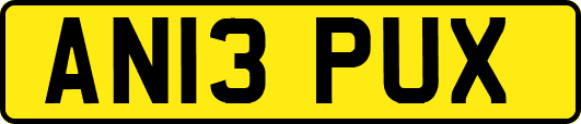 AN13PUX