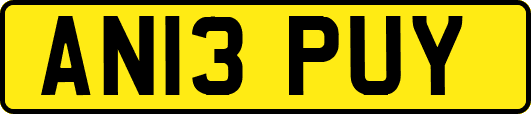 AN13PUY