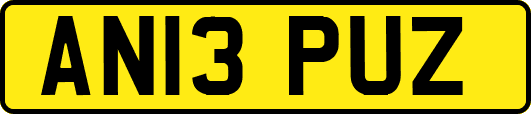 AN13PUZ