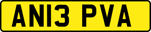 AN13PVA