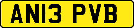 AN13PVB