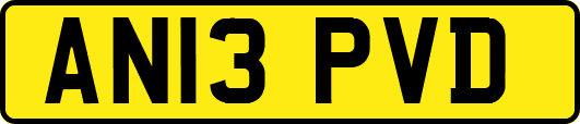 AN13PVD