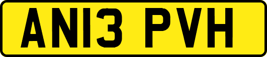 AN13PVH