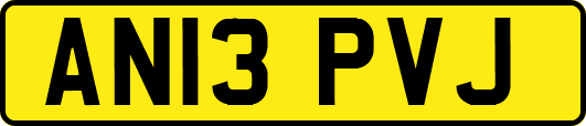 AN13PVJ
