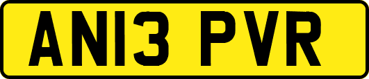 AN13PVR