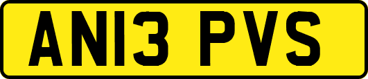AN13PVS