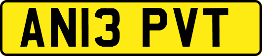 AN13PVT