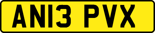 AN13PVX