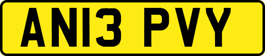 AN13PVY