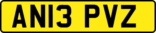 AN13PVZ