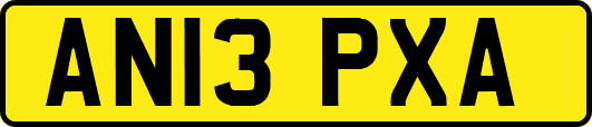 AN13PXA