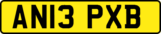 AN13PXB