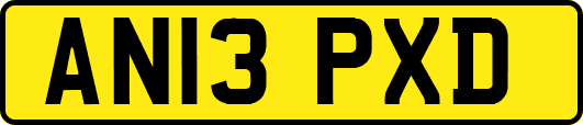 AN13PXD