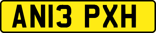 AN13PXH
