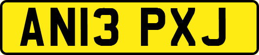 AN13PXJ