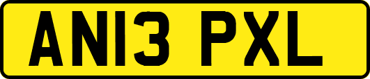 AN13PXL