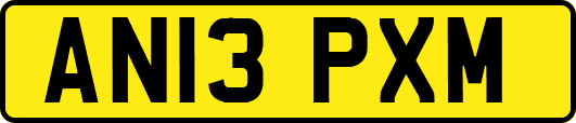 AN13PXM