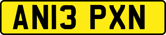 AN13PXN