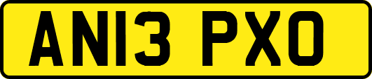 AN13PXO