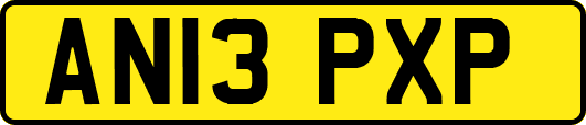 AN13PXP