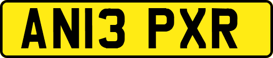 AN13PXR