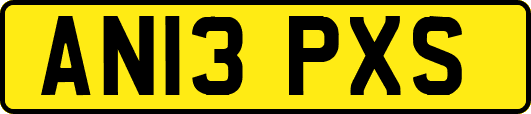AN13PXS