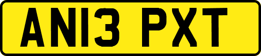 AN13PXT